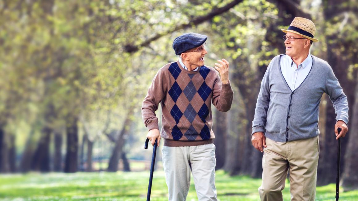 Dwóch panów z laskami na spacerze w parku