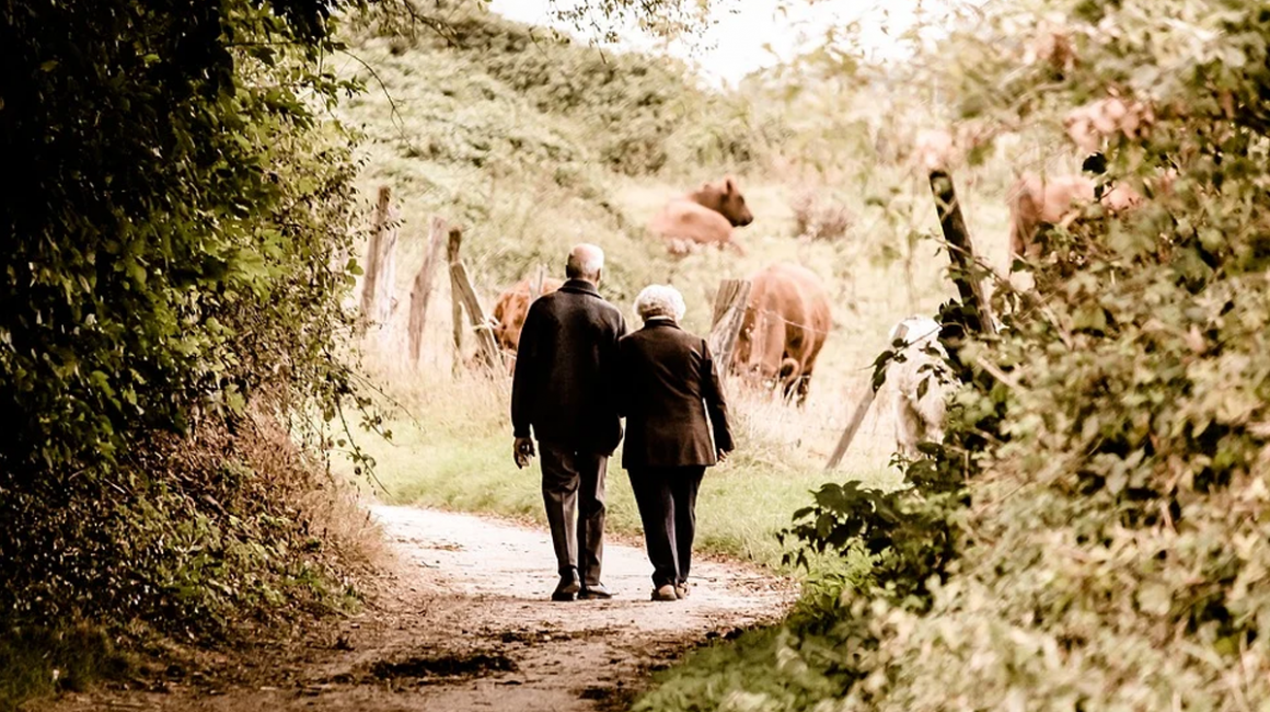 Para seniorów na spacerze ścieżką przez las. Widziana tyłem. Przed nimi pastwisko z końmi.