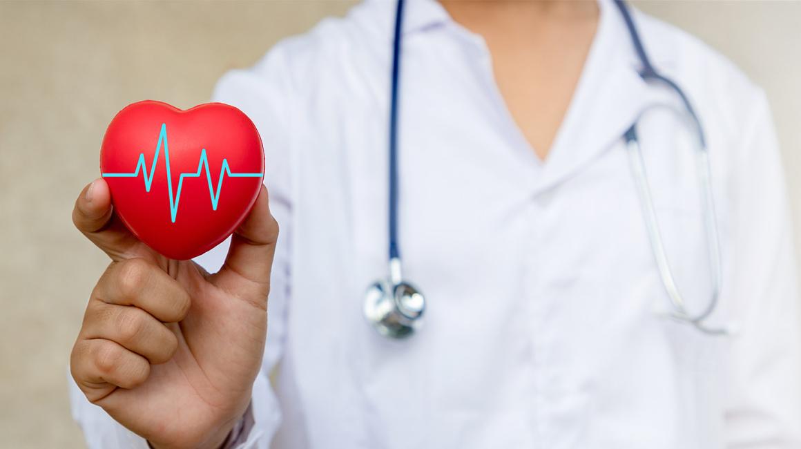 Lekarz jedną ręką trzyma plastikowe serce na którym jest wykres ekg