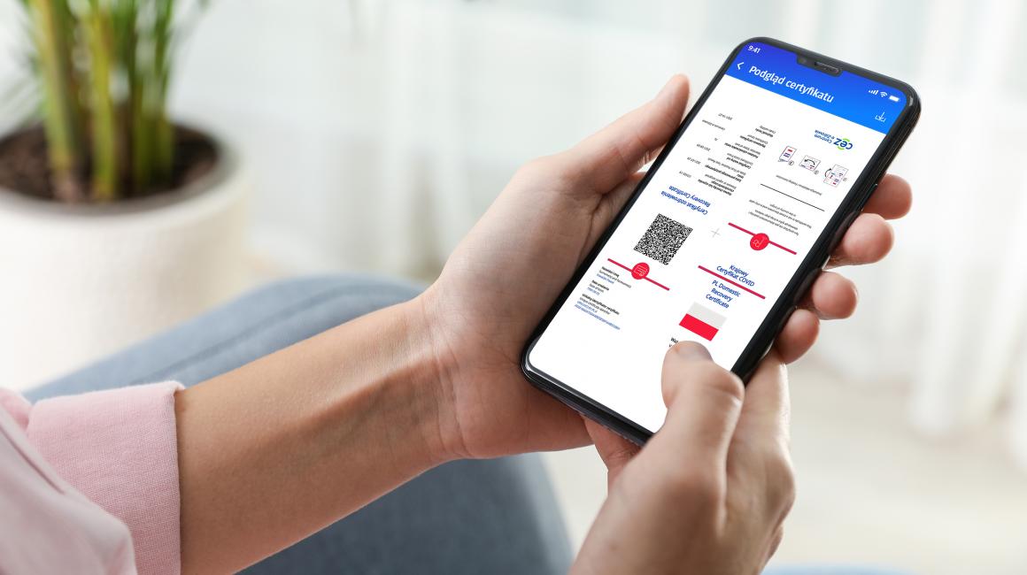 certyfikat na trzymanym telefonie