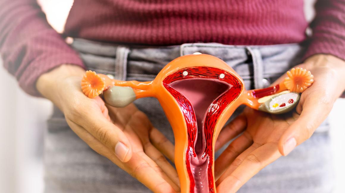 Kobieta trzyma przed sobą model macicy.