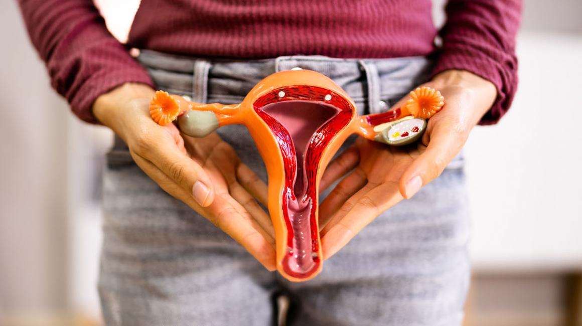 Kobieta trzyma przed sobą model macicy.