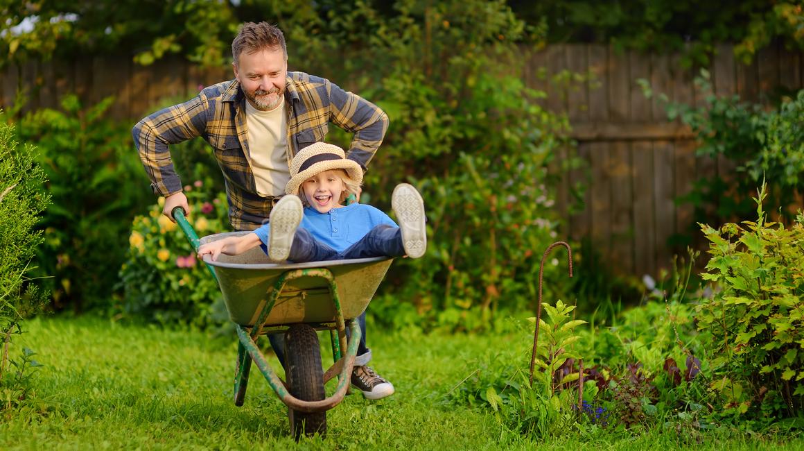 tata wiezie synka na taczkach po ogrodzie