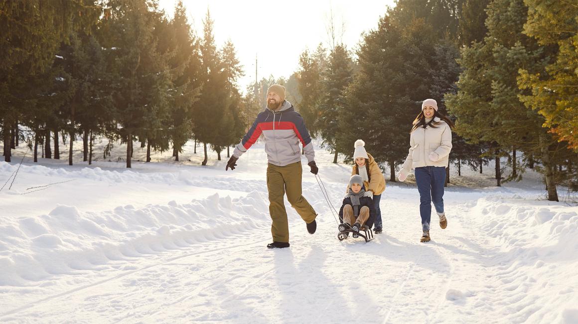 w śnieżnym lesie tata ciągnie dziecko na sankach, a z tylu idzie mama