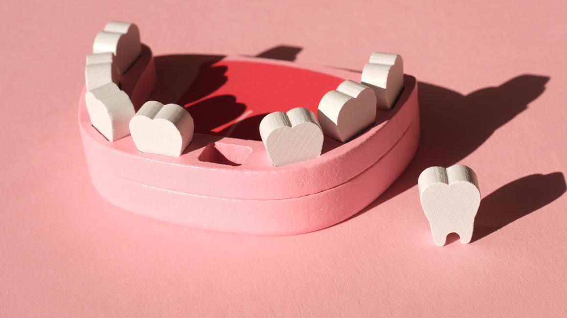 Drewniany model dolnej szczęki z wyciąganymi zębami.