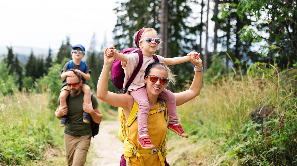 Rodzina latem w lesie