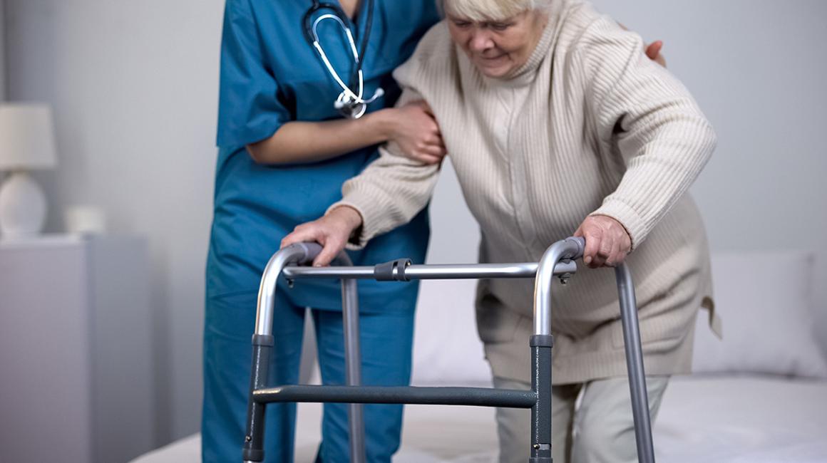 endoproteza biodra meta