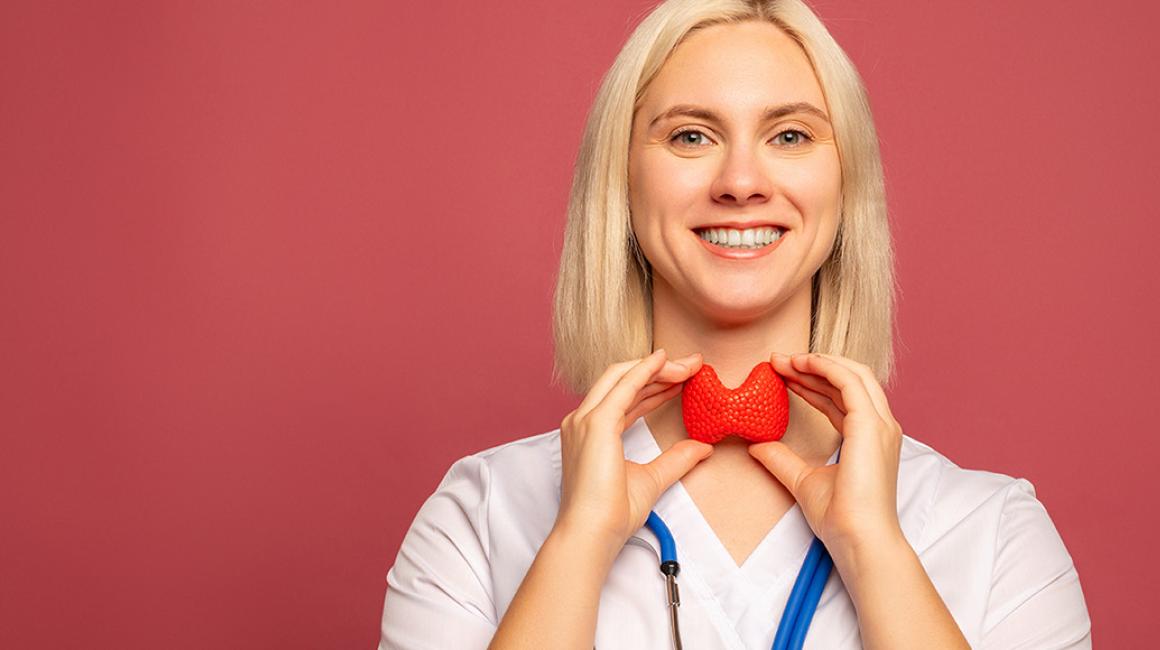 Lekarka trzyma model tarczycy