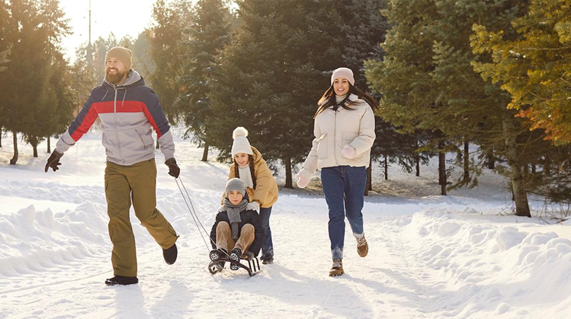 w śnieżnym lesie tata ciągnie dziecko na sankach, a z tylu idzie mama