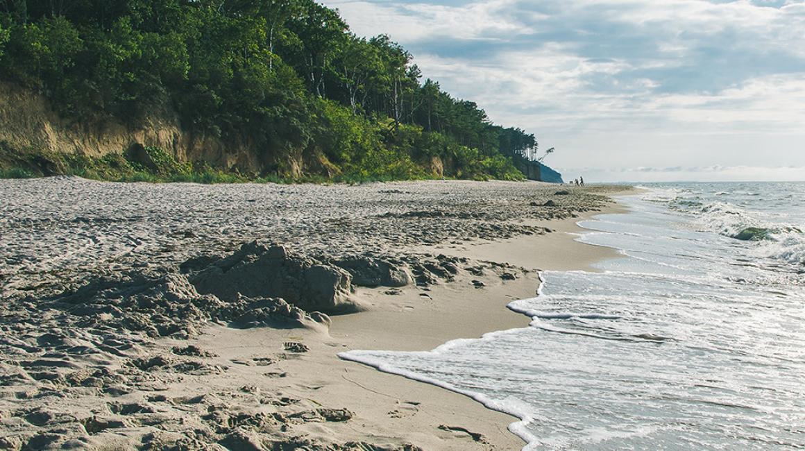 brzeg morza w letni dzień