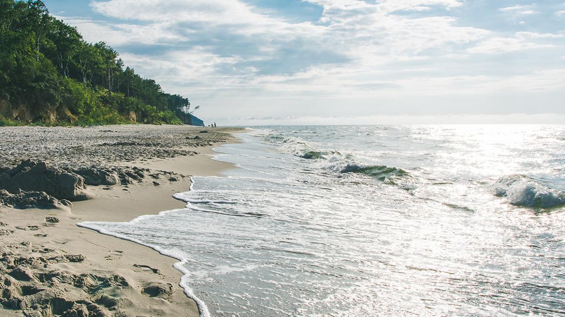 brzeg morza w letni dzień