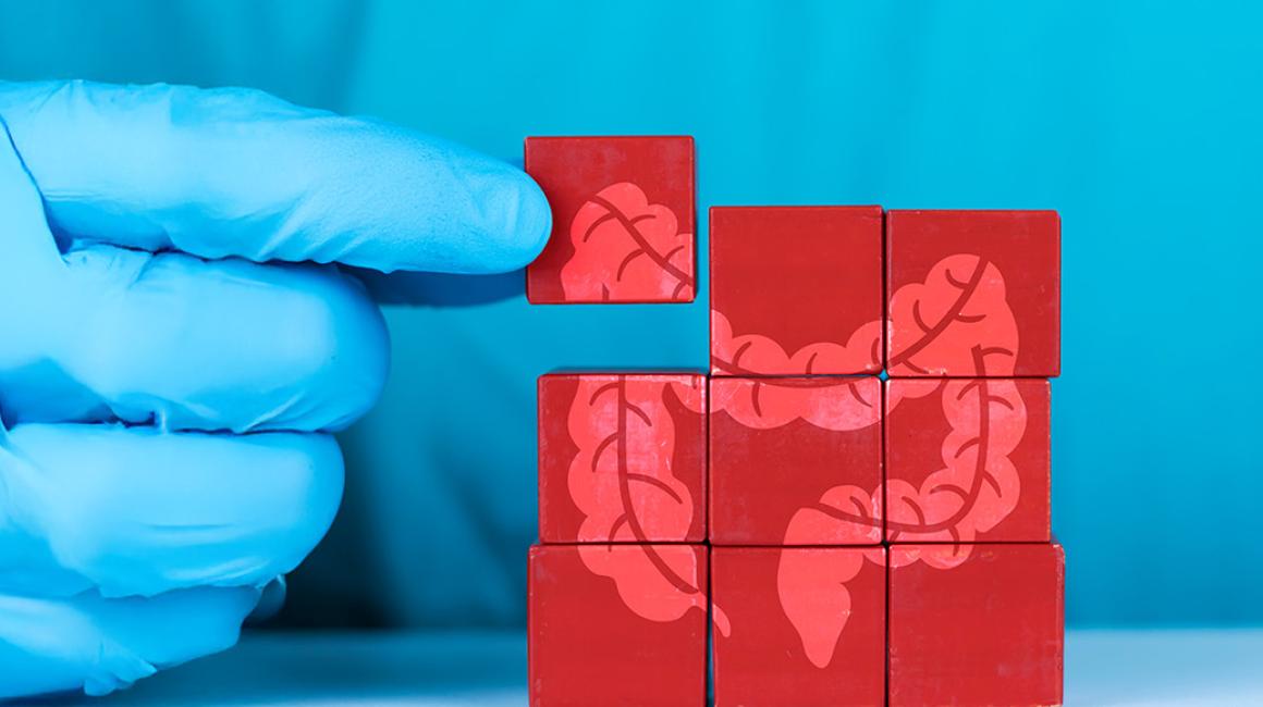 dłoń z układanką z rysunkiem jelit