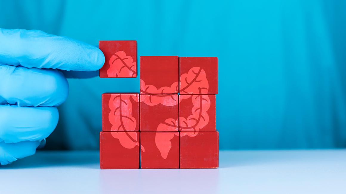 dłoń z układanką z rysunkiem jelit