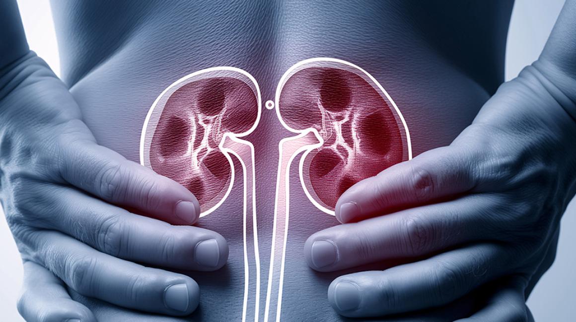 osoba trzyma ręce u nasady pleców na zdjęciu nerek