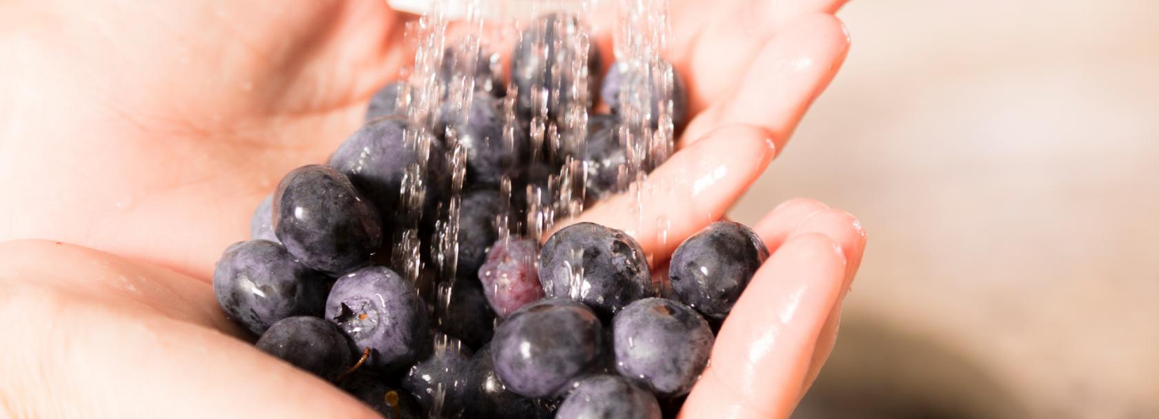 Mycie czarnych jagód