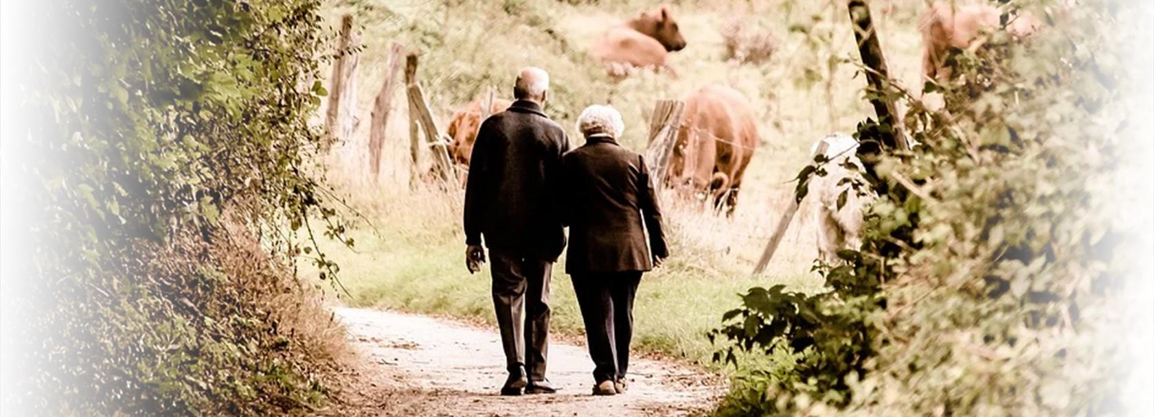 Para seniorów na spacerze ścieżką przez las. Widziana tyłem. Przed nimi pastwisko z końmi.