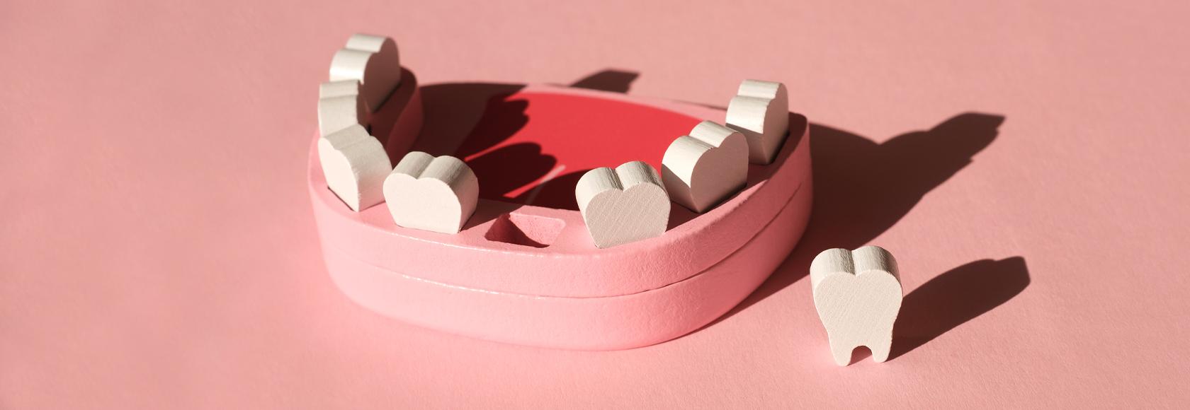 Drewniany model dolnej szczęki z wyciąganymi zębami.