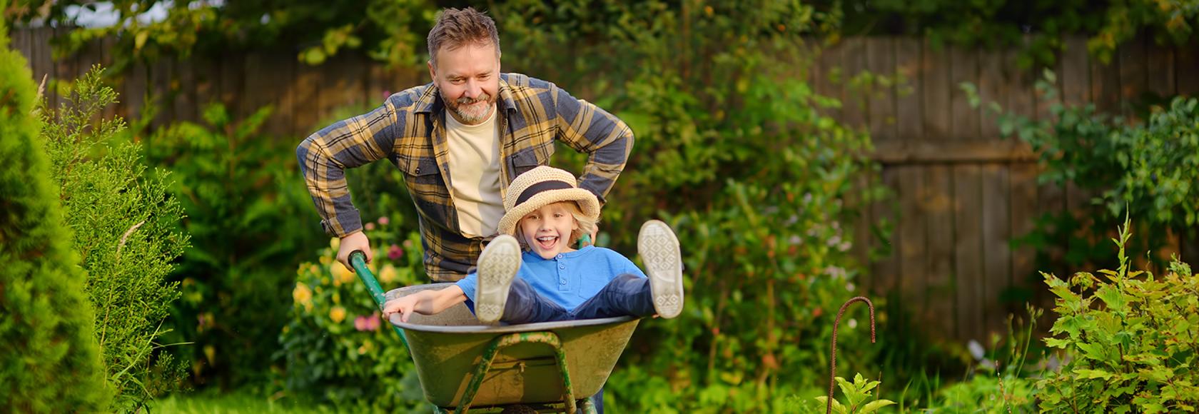 tata wiezie synka na taczkach po ogrodzie