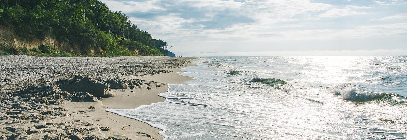 brzeg morza w letni dzień