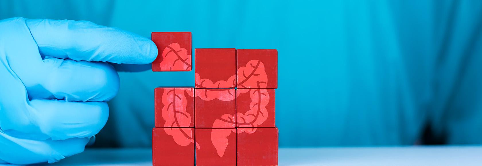 dłoń z układanką z rysunkiem jelit