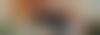 Para 50latków z laptopem na kanapie, on ją obejmuje ramieniem 