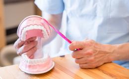 Pielęgniarz pokazuje na modelu szczęki jak prawidłowo myć zęby.