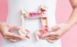 Osoba trzyma model jelita grubego na tle swojego brzucha.