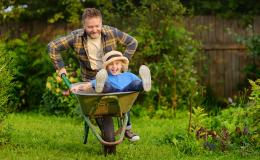 tata wiezie synka na taczkach po ogrodzie