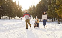 w śnieżnym lesie tata ciągnie dziecko na sankach, a z tylu idzie mama