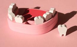 Drewniany model dolnej szczęki z wyciąganymi zębami.