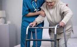 endoproteza biodra meta