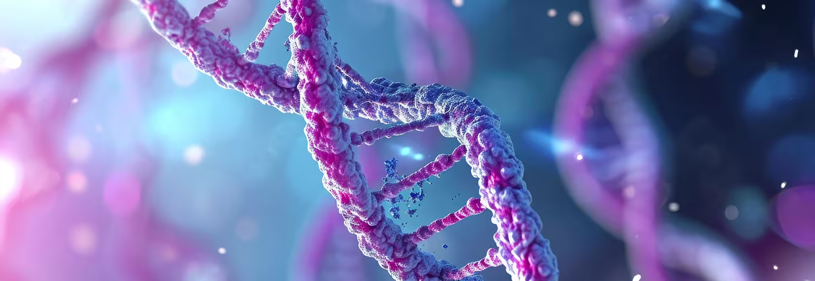 łańcuch DNA
